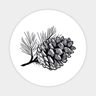 Pine cone Magnet